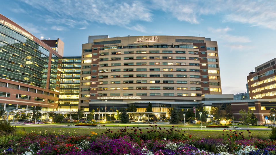 Using AI in healthcare - a webinar with UCHealth